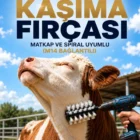 hayvan kasima fircasi 05
